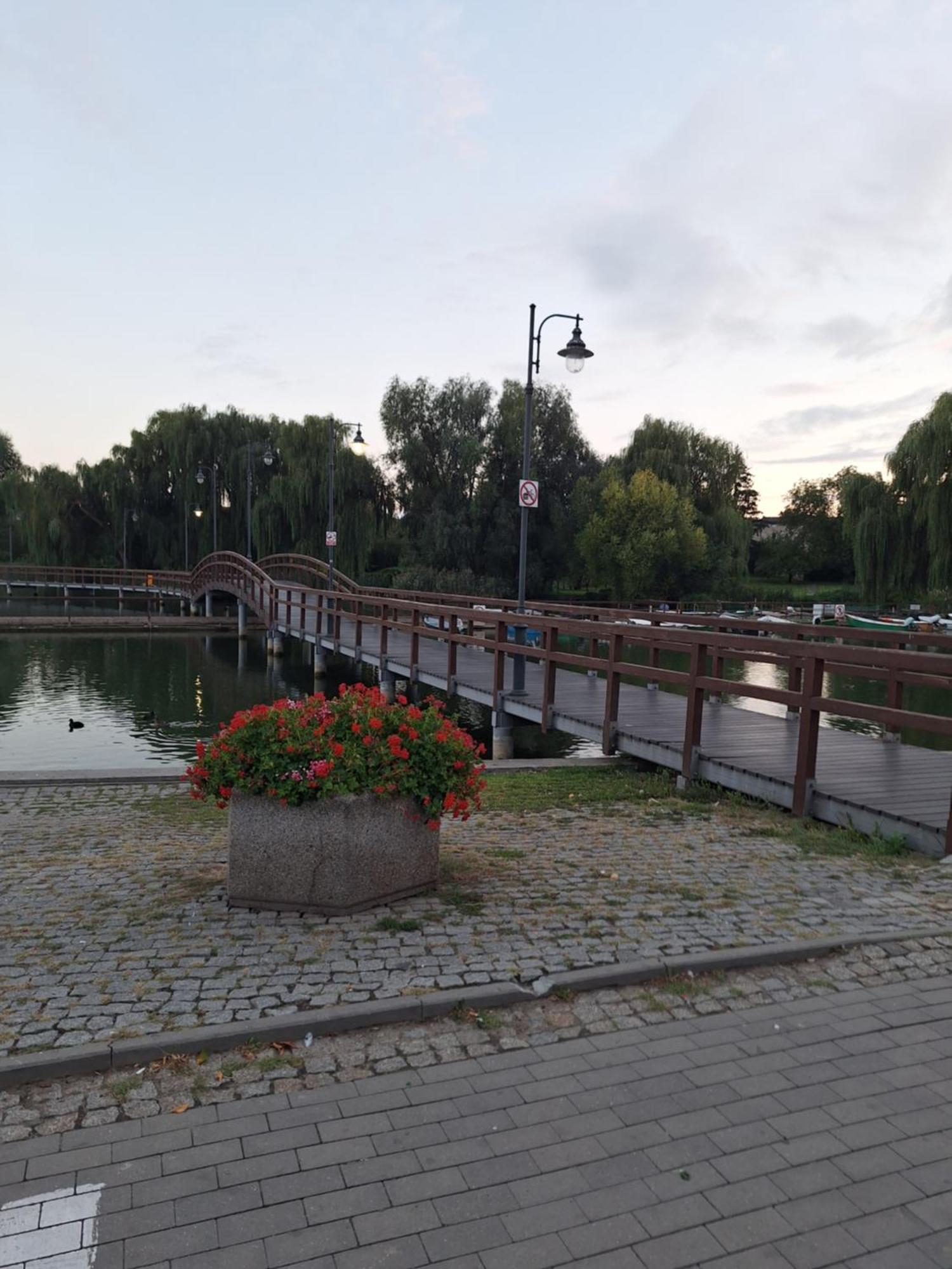Apartament Chełmża Kültér fotó